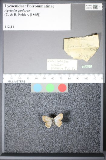 Media type: image;   Entomology 50784